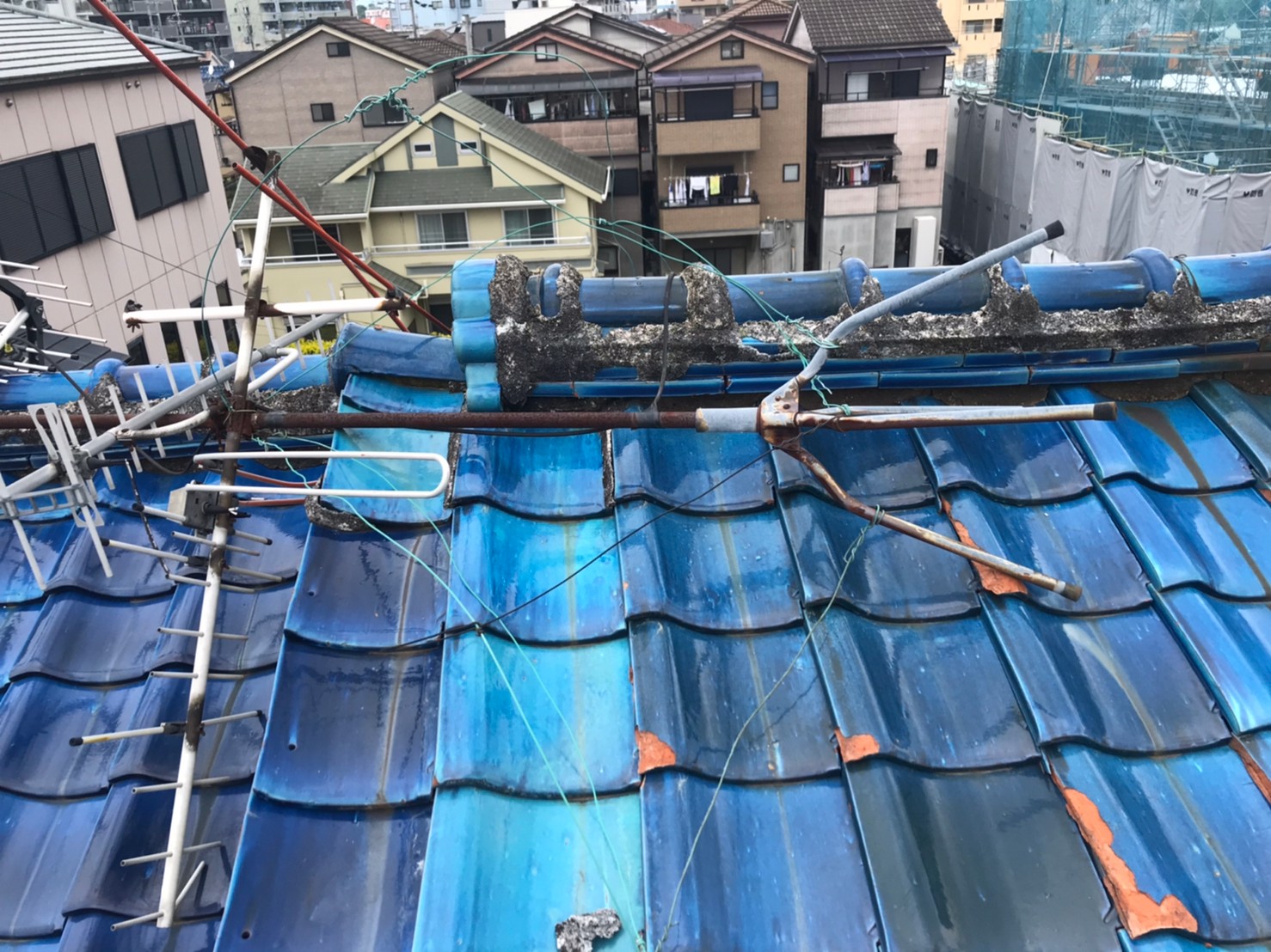 ブルーシート養生